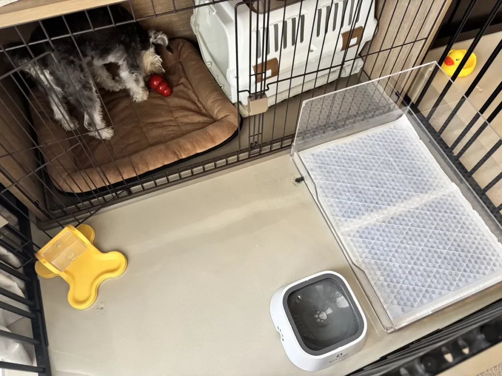 給水器・ワイドトイレ・クレート・コングを機能的に配置した犬のお留守番用ワイドサークル