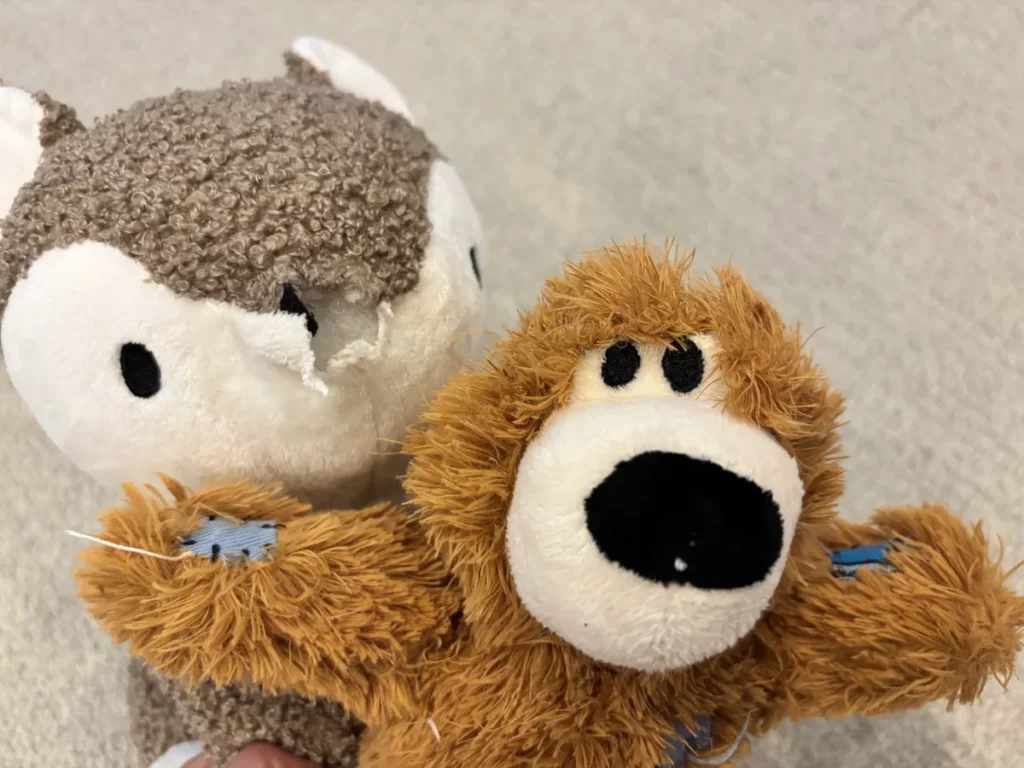 犬に激しく噛まれて鼻のパーツが破れてしまったオオカミのぬいぐるみ