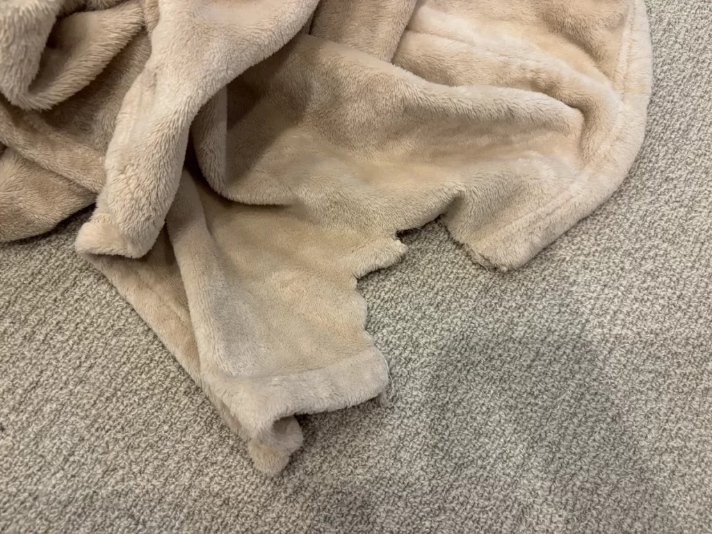 犬の噛み癖によって裾や端がボロボロに引きちぎられてしまった妻の着る毛布