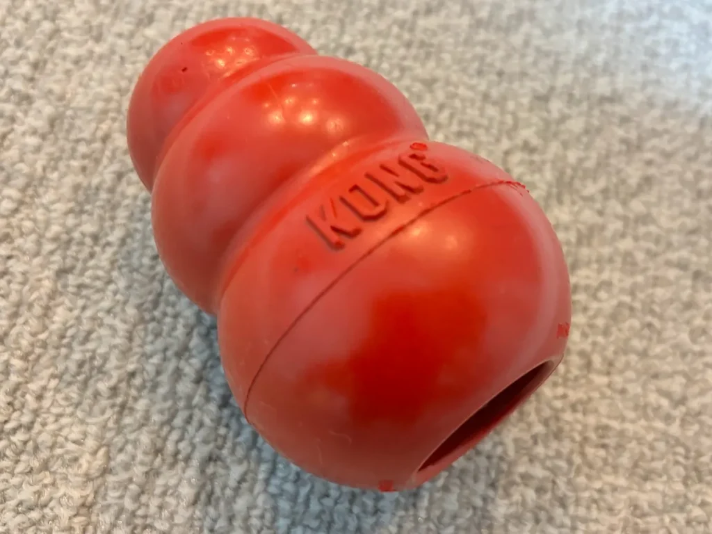 中にフードやおやつを入れられる定番の犬用知育玩具KONG(コング)