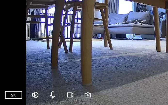 wansviewペットカメラの広角映像に映るリビングのソファの上で丸くなって寝ている犬