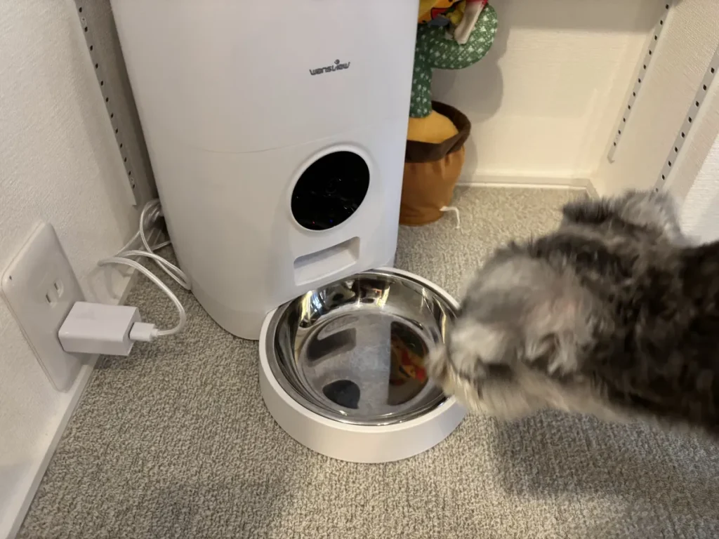 部屋の角に設置されたwansviewカメラ付き自動給餌器とステンレスボウルに近づく犬