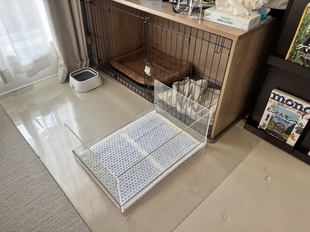 観葉植物やソファがあるおしゃれなリビング空間にも違和感なく溶け込む透明なペットトイレのイメージ